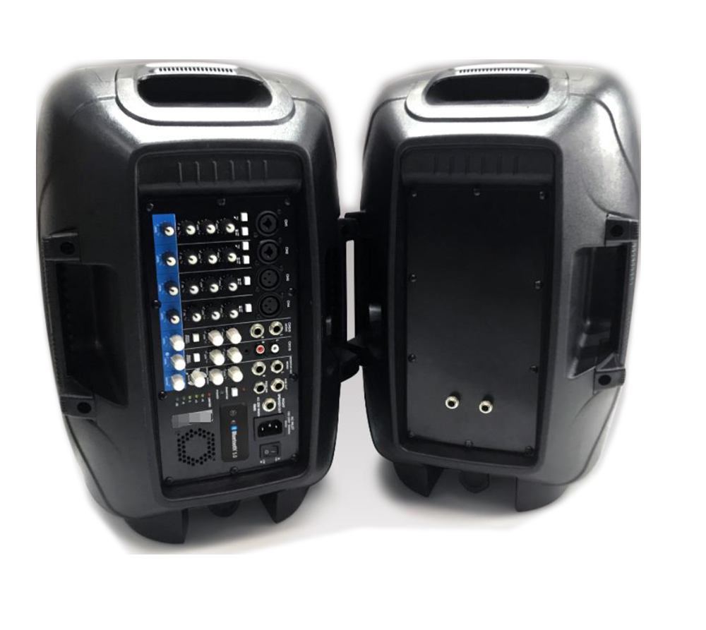 PAS-300